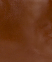 alexia tote cavo border tooled